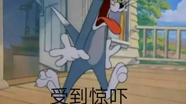猫和老鼠:当时我们都傻了。